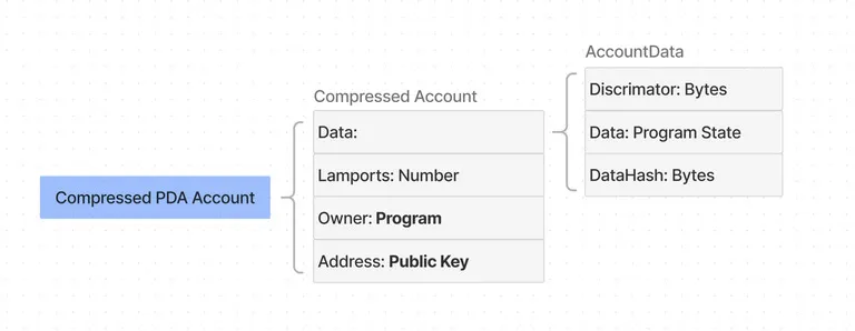 Compressed Account Model
