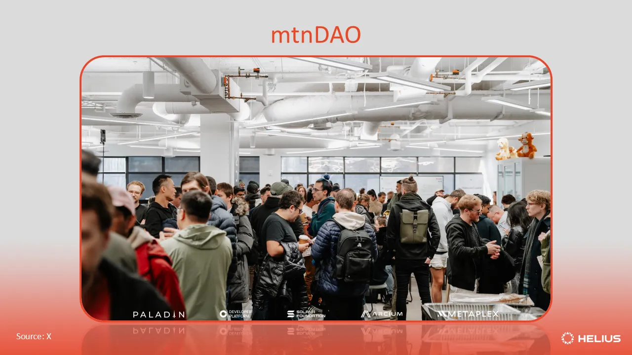 mtnDAO